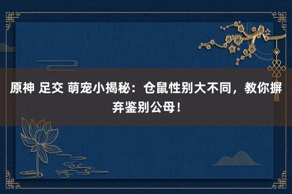 原神 足交 萌宠小揭秘：仓鼠性别大不同，教你摒弃鉴别公母！