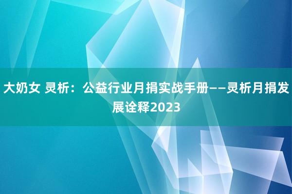 大奶女 灵析：公益行业月捐实战手册——灵析月捐发展诠释2023